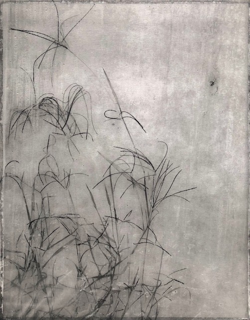 Untitled, Weed series (1)